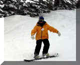 P2250013ar75.jpg (34033 bytes)