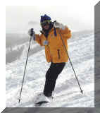 P2250018r75.jpg (39693 bytes)