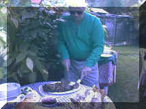 Lou breeds amazingly large budgies