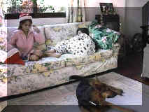 sleep98.jpg (19263 bytes)