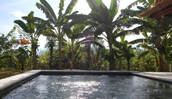 Swimming Pool in early morning light