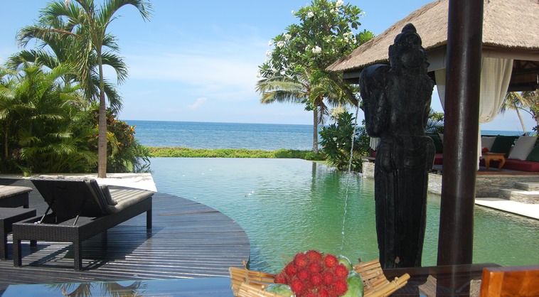 View from Dining table